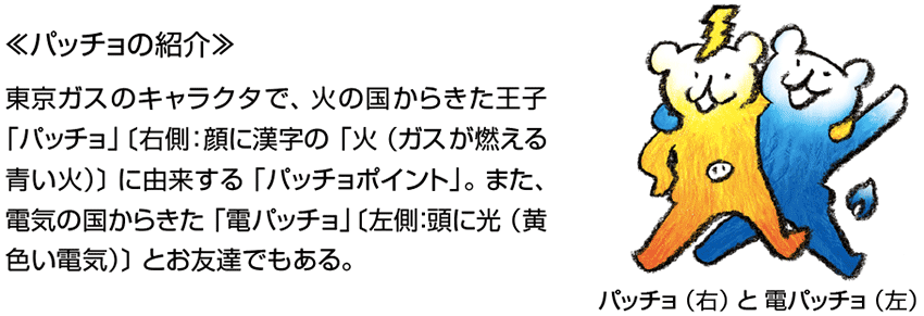 図4 パッチョポイントの由来