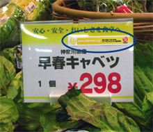写真12 ucode実証実験の模様(2004年)
