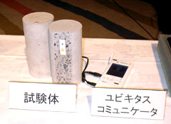 写真6 試験体(供試体)